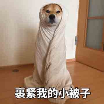 冻成狗